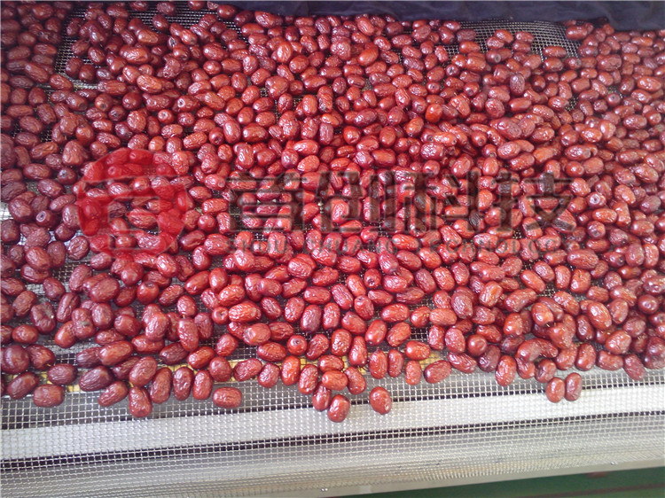 紅棗烘干機價(jià)格.jpg