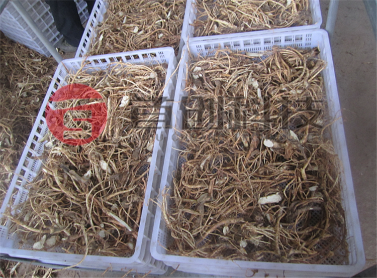 食用菌烘干機價(jià)格.png