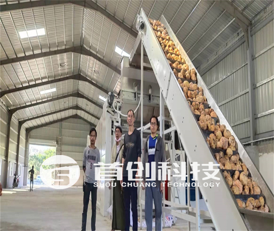 網(wǎng)帶式魔芋加工設備.jpg