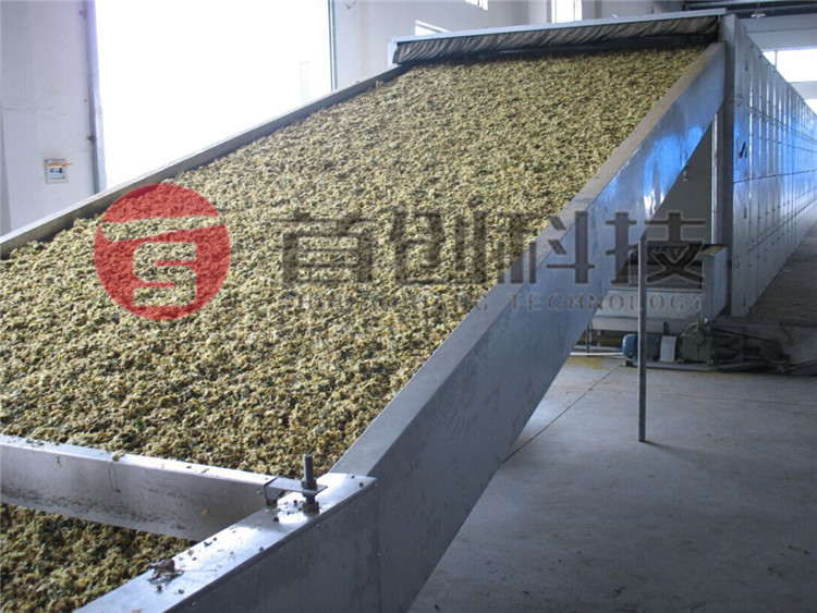 連續式黃芪烘干設備廠(chǎng)家.jpg